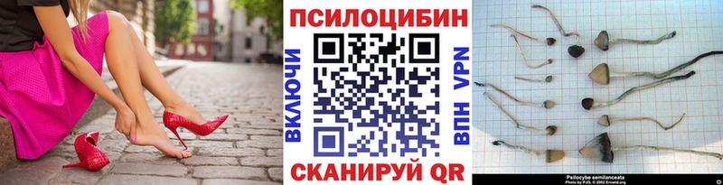 Псилоцибиновые грибы Psilocybe  МЕГА зеркало  Туран 